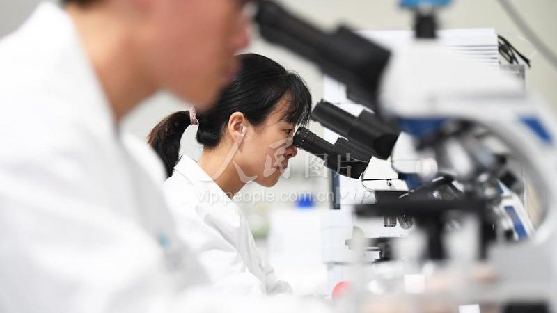 生物试剂耗材：揭秘常见规格型号背后的秘密