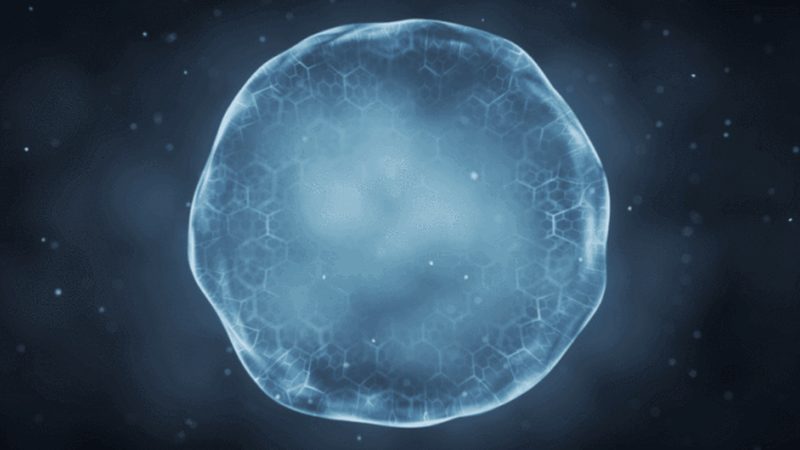 引物合成周期批量定制：揭秘高效PCR实验的关键**
