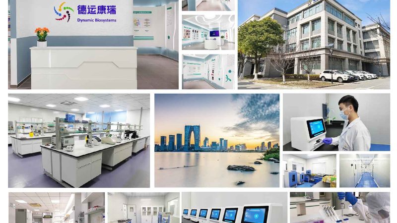 逆转录酶与反转录酶：本质相同，应用不同