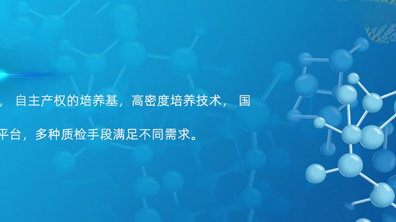 脂肪酶生产厂家，如何选择合适的合作伙伴？**