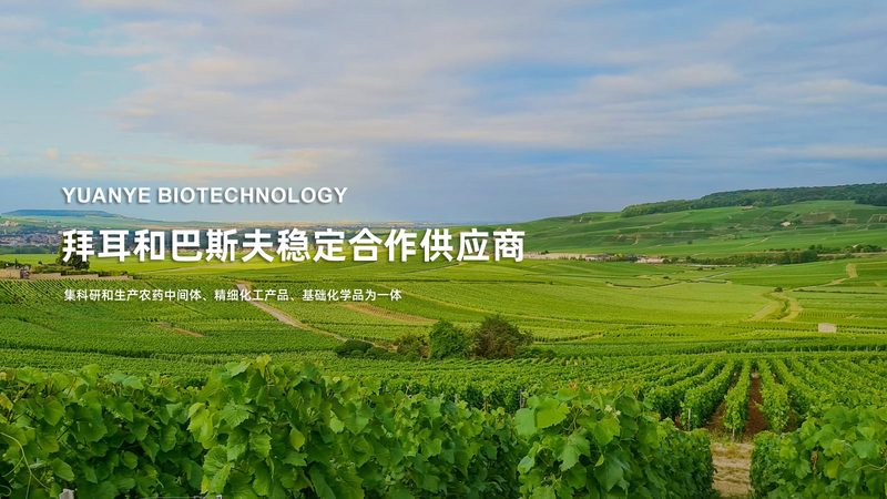 生物医药设备：揭秘行业领先厂商，助力研发之路**
