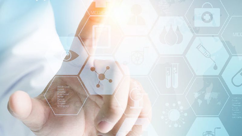 酶分类及用途全解析：探索生物催化奥秘