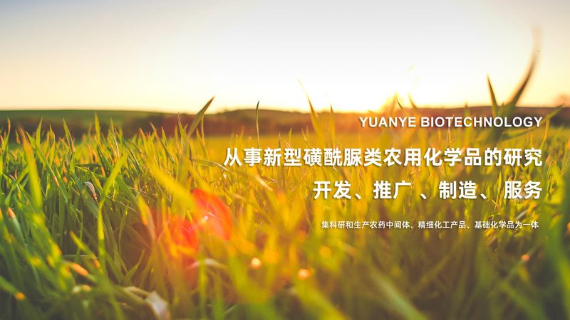 基因检测全外显子组测序：价格背后的价值考量**