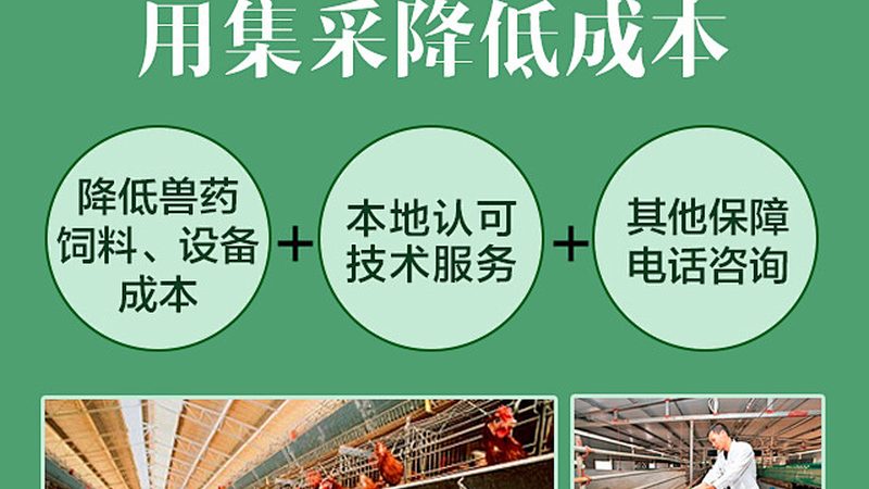 细胞工厂代理，如何选择合适的合作伙伴？**