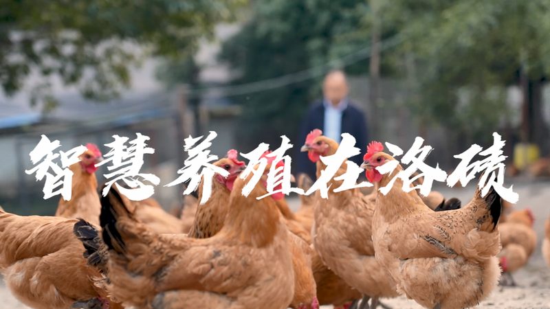细胞培养板规格参数，揭秘其背后的科学奥秘**