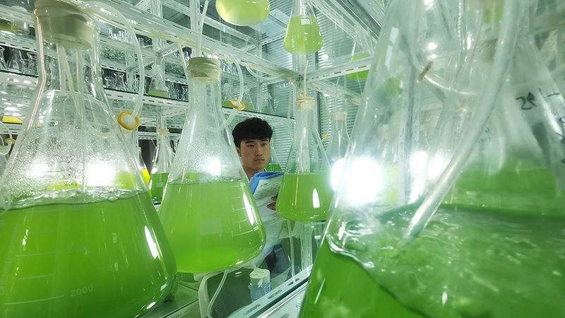 广州市科技有限公司